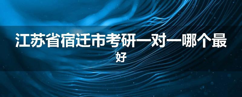 江苏省宿迁市考研一对一哪个最好