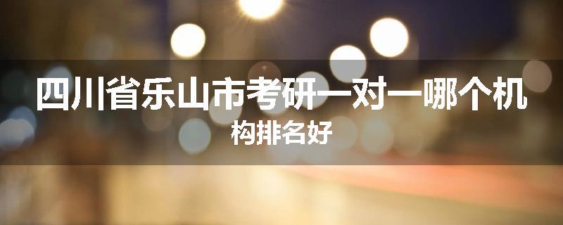 四川省乐山市考研一对一哪个机构排名好
