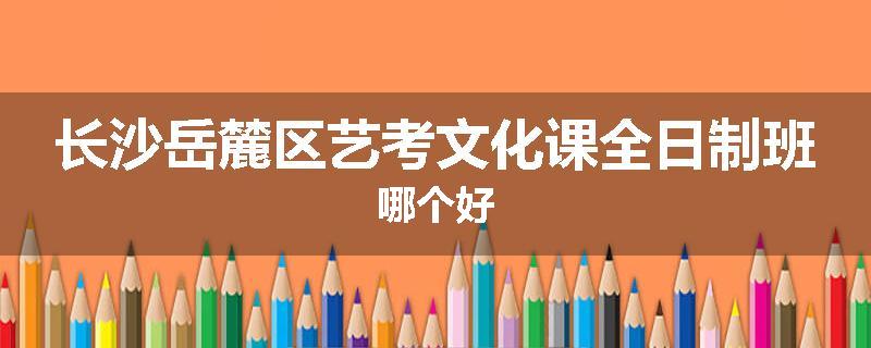 长沙岳麓区艺考文化课全日制班哪个好