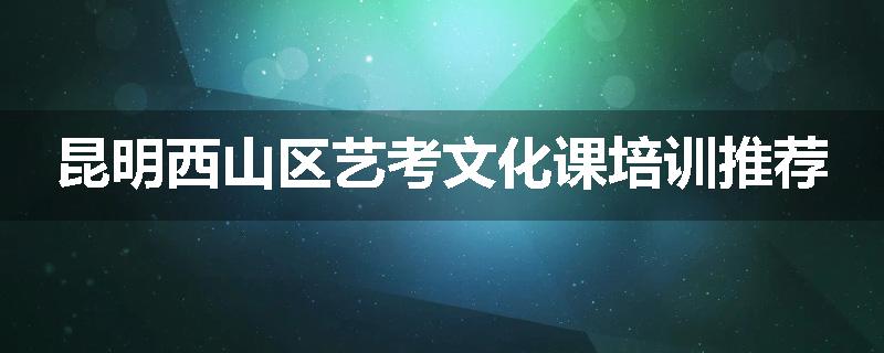 昆明西山区艺考文化课培训推荐