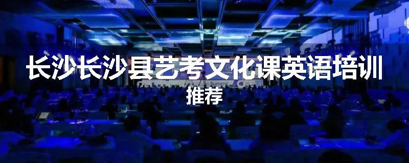 长沙长沙县艺考文化课英语培训推荐