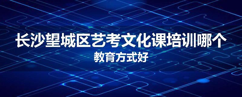 长沙望城区艺考文化课培训哪个教育方式好