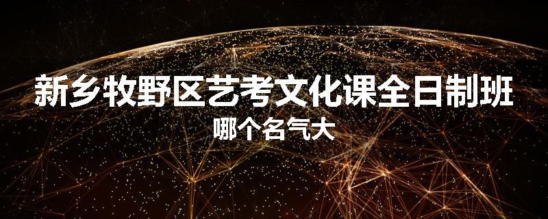 新乡牧野区艺考文化课全日制班哪个名气大