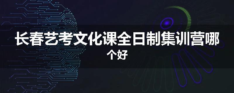 长春艺考文化课全日制集训营哪个好