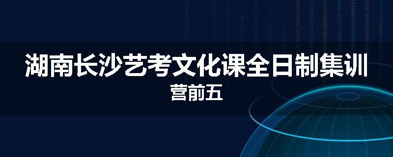 湖南长沙艺考文化课全日制集训营前五