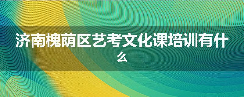 济南槐荫区艺考文化课培训有什么