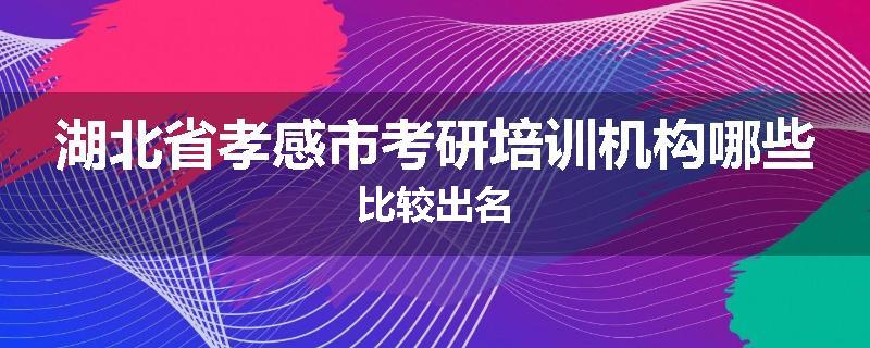 湖北省孝感市考研培训机构哪些比较出名