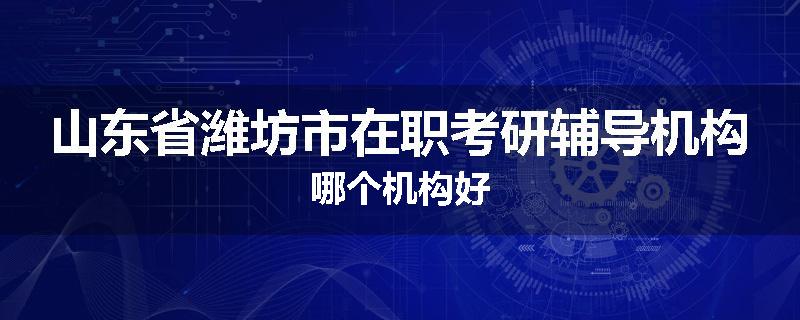 山东省潍坊市在职考研辅导机构哪个机构好