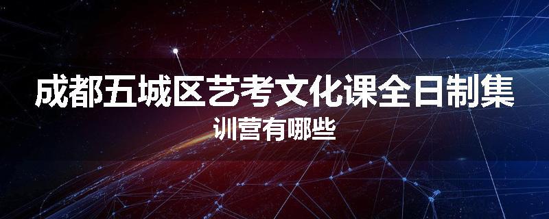 成都五城区艺考文化课全日制集训营有哪些