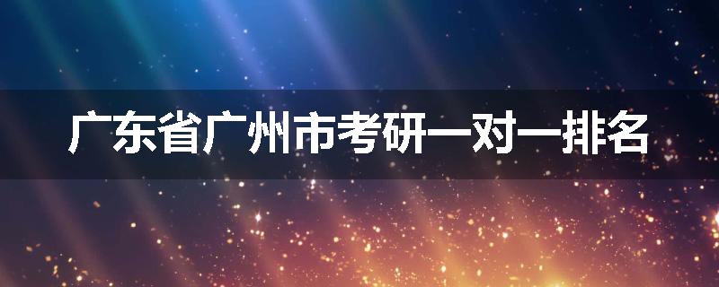 广东省广州市考研一对一排名