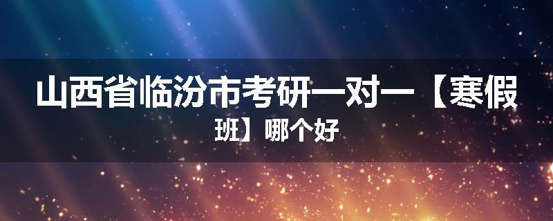 山西省临汾市考研一对一【寒假班】哪个好