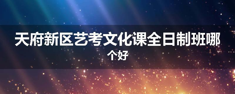 天府新区艺考文化课全日制班哪个好