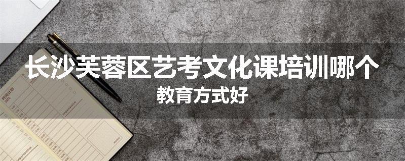 长沙芙蓉区艺考文化课培训哪个教育方式好
