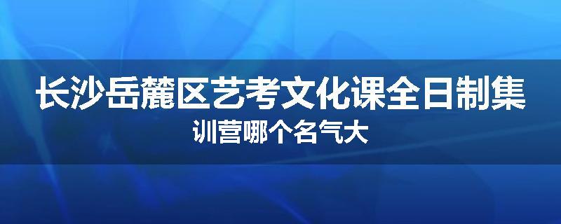 长沙岳麓区艺考文化课全日制集训营哪个名气大