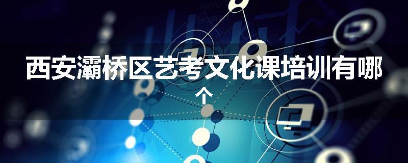 西安灞桥区艺考文化课培训有哪个