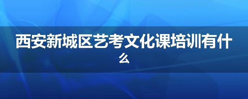 西安新城区艺考文化课培训有什么