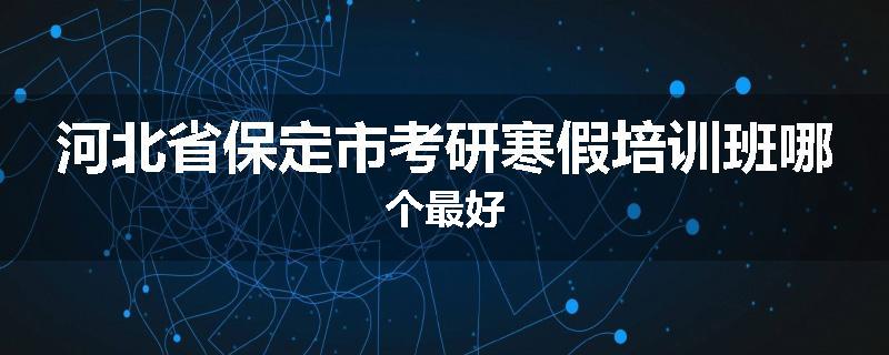 河北省保定市考研寒假培训班哪个最好