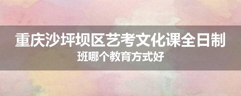 重庆沙坪坝区艺考文化课全日制班哪个教育方式好