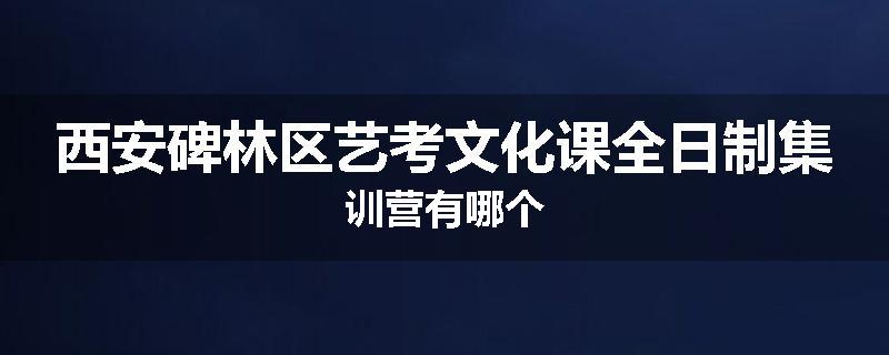 西安碑林区艺考文化课全日制集训营有哪个