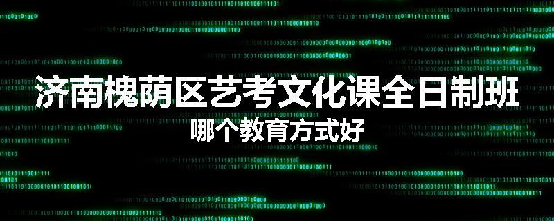 济南槐荫区艺考文化课全日制班哪个教育方式好