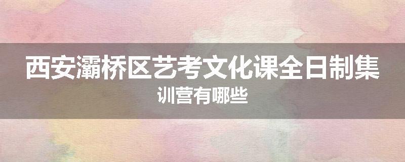 西安灞桥区艺考文化课全日制集训营有哪些
