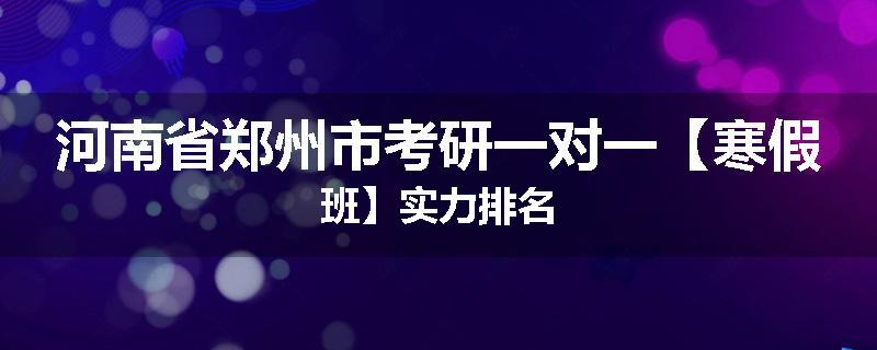 河南省郑州市考研一对一【寒假班】实力排名