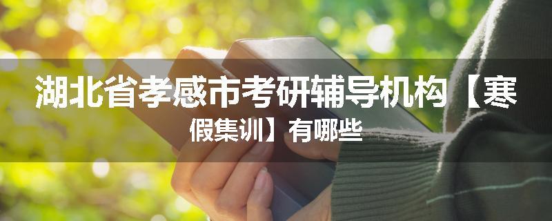 湖北省孝感市考研辅导机构【寒假集训】有哪些