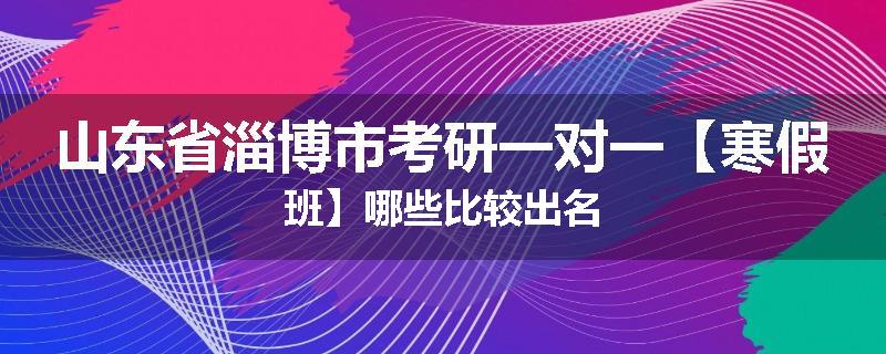 山东省淄博市考研一对一【寒假班】哪些比较出名