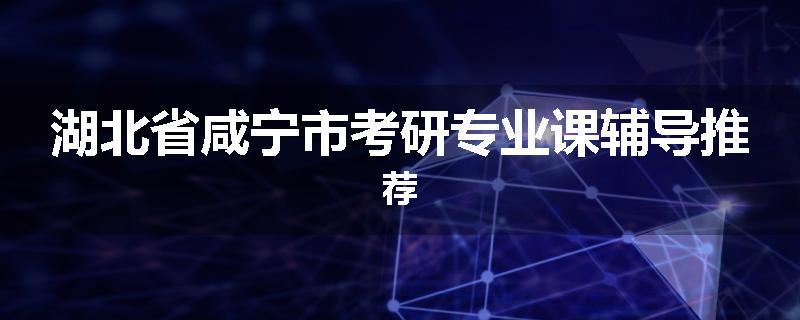 湖北省咸宁市考研专业课辅导推荐