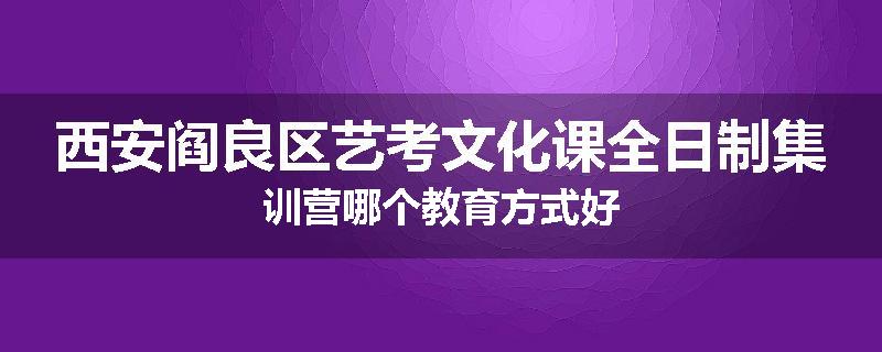 西安阎良区艺考文化课全日制集训营哪个教育方式好