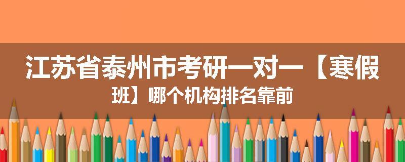 江苏省泰州市考研一对一【寒假班】哪个机构排名靠前