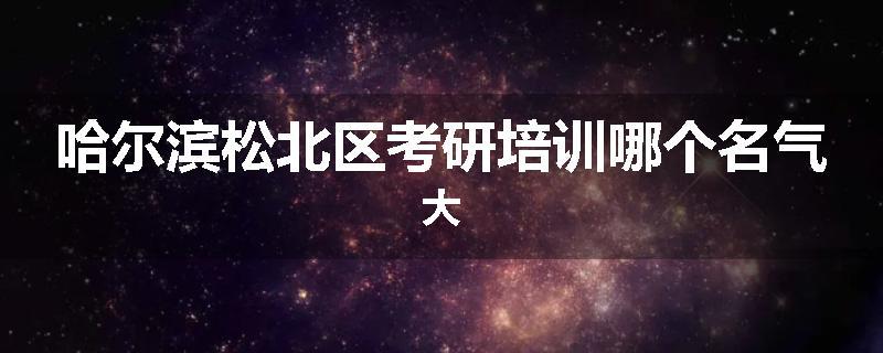 哈尔滨松北区考研培训哪个名气大