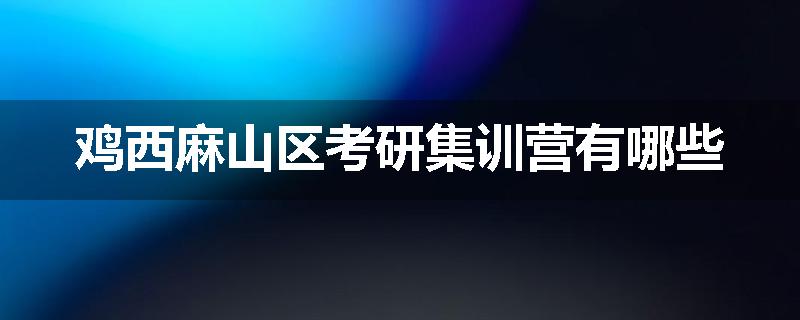 鸡西麻山区考研集训营有哪些