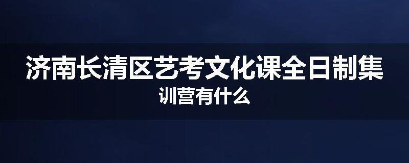 济南长清区艺考文化课全日制集训营有什么