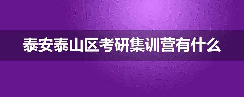 泰安泰山区考研集训营有什么