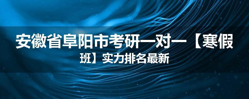 安徽省阜阳市考研一对一【寒假班】实力排名最新