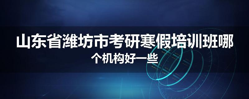 山东省潍坊市考研寒假培训班哪个机构好一些