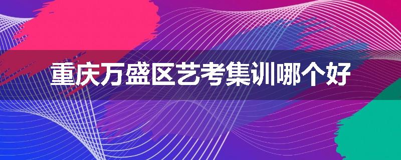 重庆万盛区艺考集训哪个好
