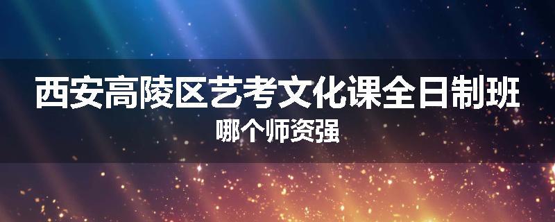 西安高陵区艺考文化课全日制班哪个师资强