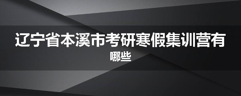 辽宁省本溪市考研寒假集训营有哪些
