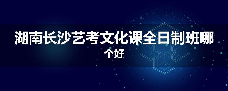 湖南长沙艺考文化课全日制班哪个好