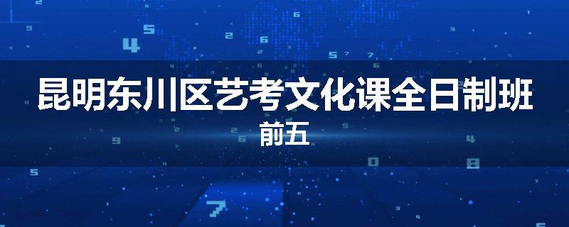 昆明东川区艺考文化课全日制班前五