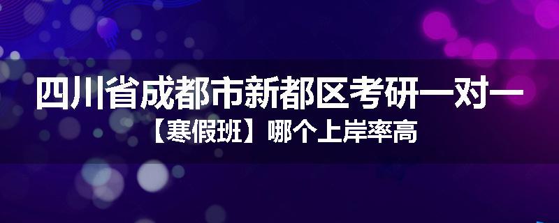 四川省成都市新都区考研一对一【寒假班】哪个上岸率高