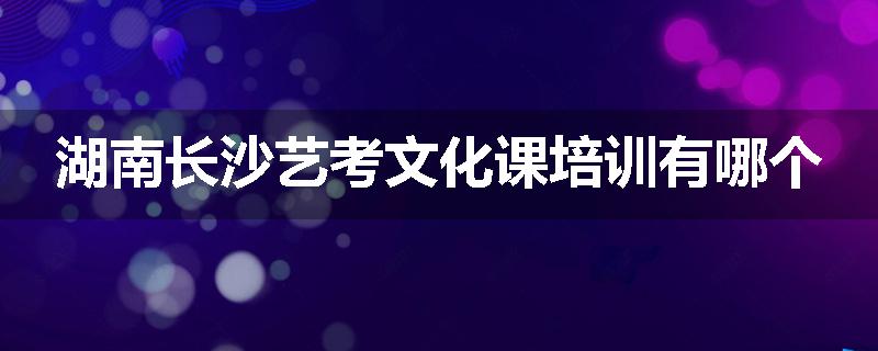 湖南长沙艺考文化课培训有哪个