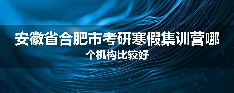 安徽省合肥市考研寒假集训营哪个机构比较好