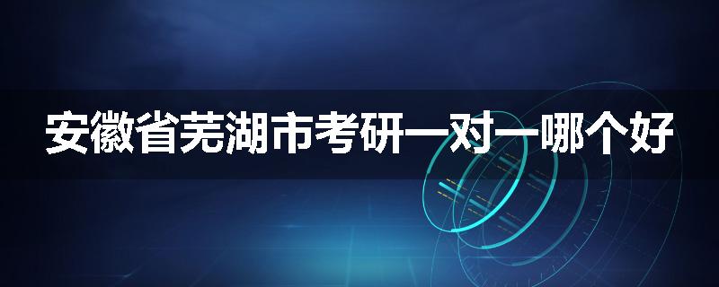 安徽省芜湖市考研一对一哪个好