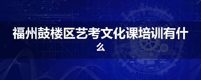 福州鼓楼区艺考文化课培训有什么