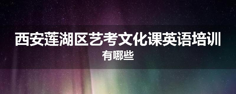 西安莲湖区艺考文化课英语培训有哪些