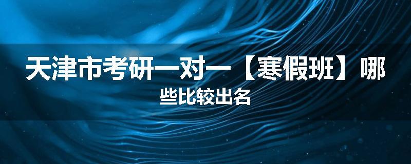 天津市考研一对一【寒假班】哪些比较出名