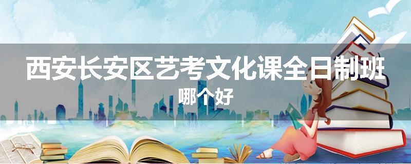 西安长安区艺考文化课全日制班哪个好